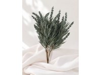 Vřes trs 5 větviček šedo zelený 35cm